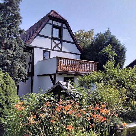Apartamento Pusteblume Groitzsch Exterior foto
