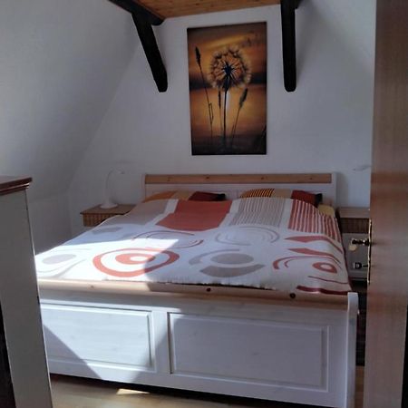 Apartamento Pusteblume Groitzsch Exterior foto
