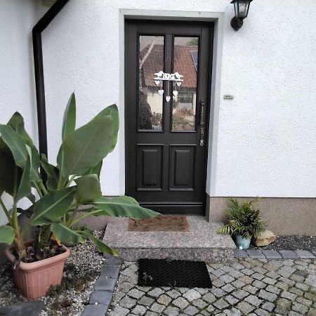 Apartamento Pusteblume Groitzsch Exterior foto