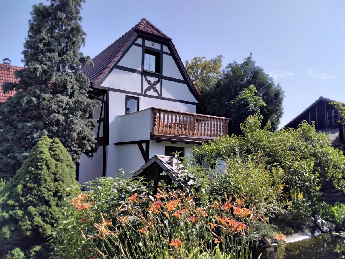 Apartamento Pusteblume Groitzsch Exterior foto