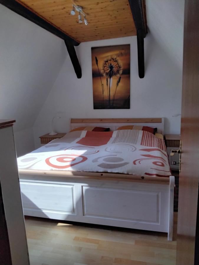 Apartamento Pusteblume Groitzsch Exterior foto