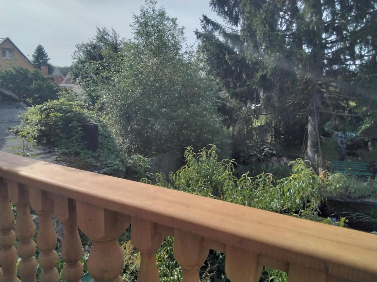 Apartamento Pusteblume Groitzsch Exterior foto